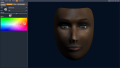 Face appearance screen.png